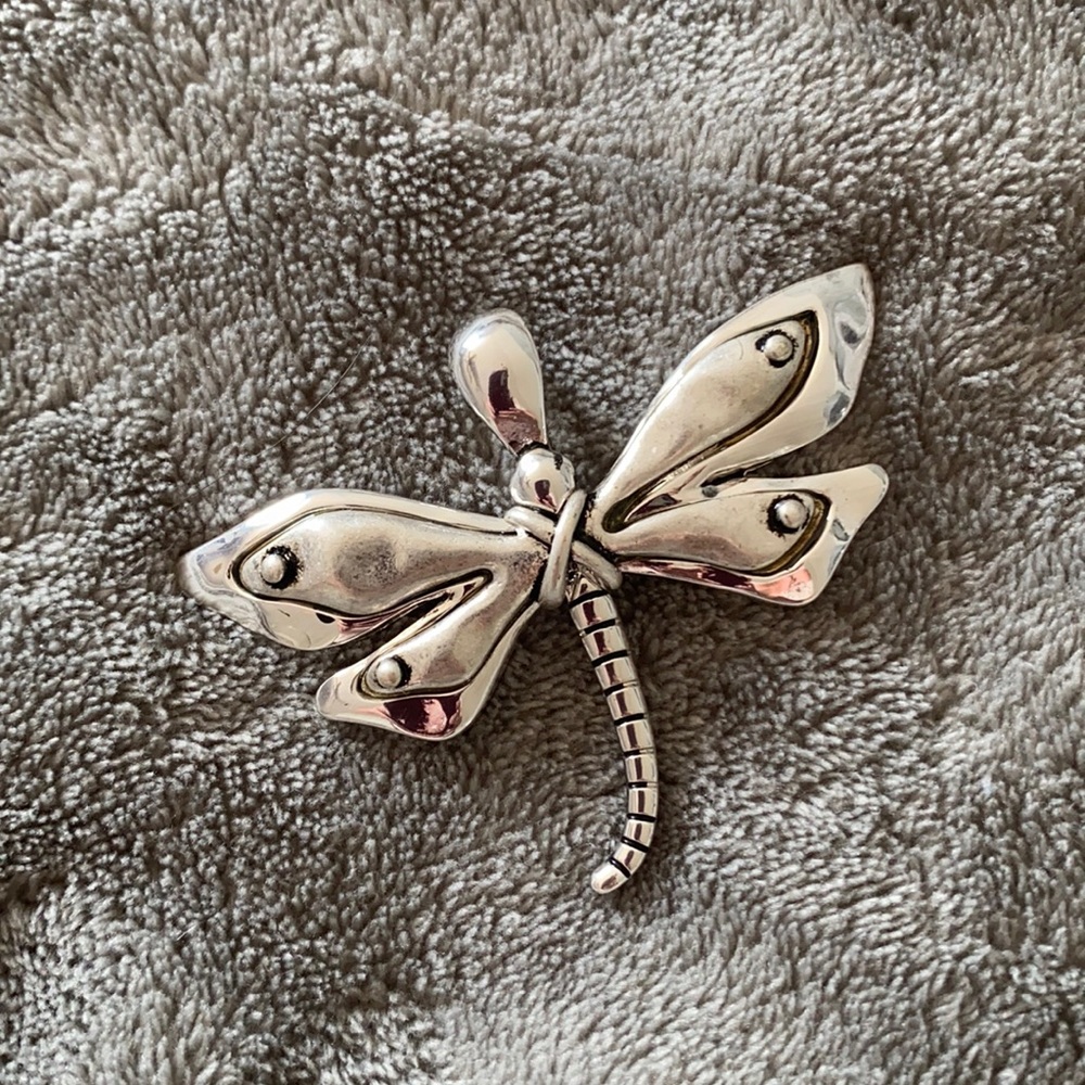 Dragon Fly Silver Charm